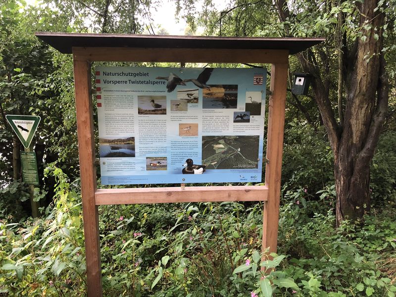 Infotafel zum Naturschutzgebiet Vorsperre Twistetalsperre mit Vögeln am Ufer