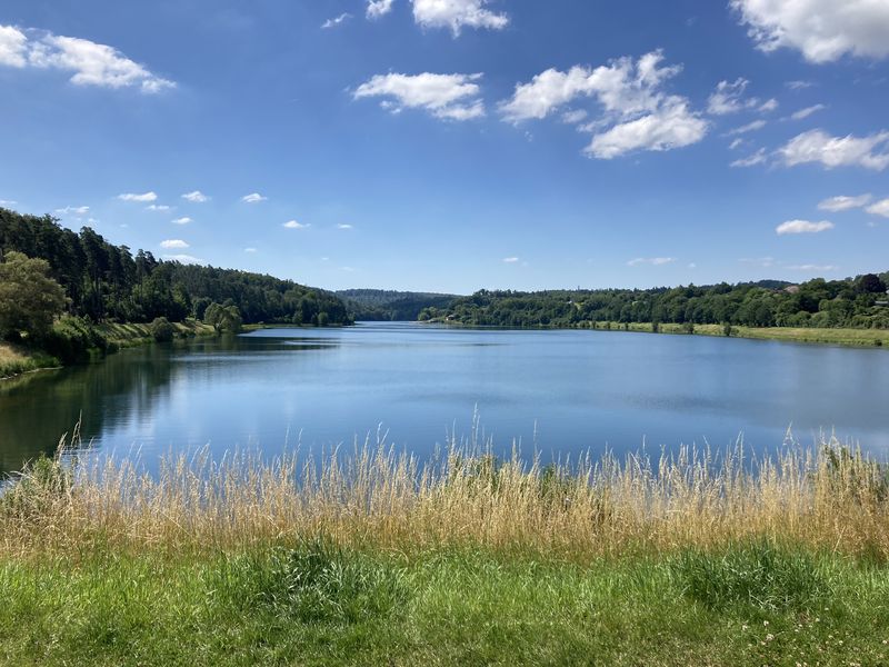 Weiter Blick über den Twistesee zwischen bewaldeten Hängen, im Vordergrund Gräser