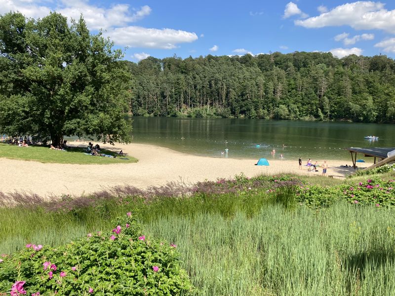Sandstrand am Twistesee mit Liegewiese unter einer großen Eiche, Badegästen und Wald am anderen Ufer